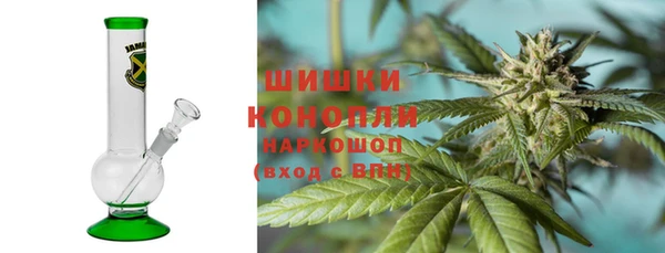 ГАЛЛЮЦИНОГЕННЫЕ ГРИБЫ Алексин