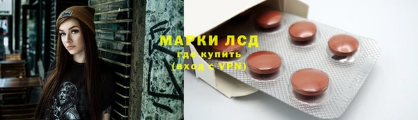 ГАЛЛЮЦИНОГЕННЫЕ ГРИБЫ Алексин