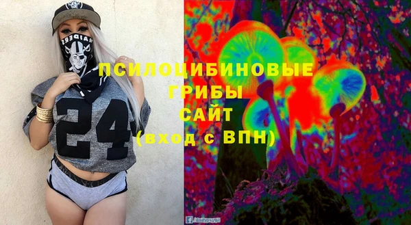 ГАЛЛЮЦИНОГЕННЫЕ ГРИБЫ Алексин