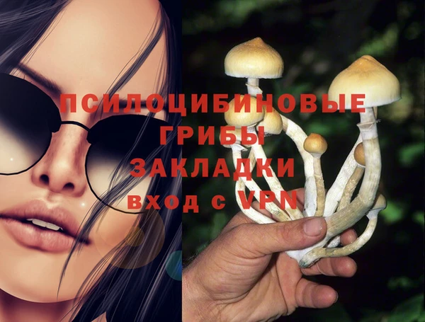 а пвп мука Алзамай