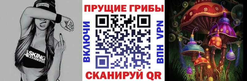 Псилоцибиновые грибы GOLDEN TEACHER  купить   Крымск 
